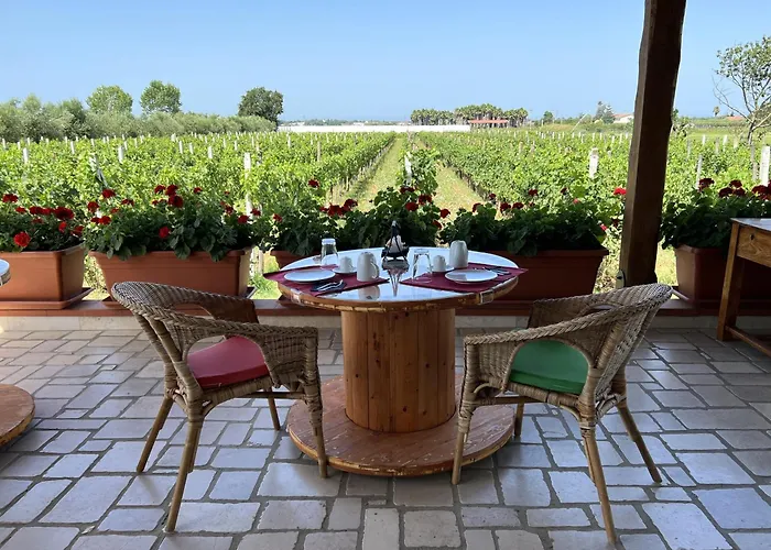 Vigna Di FilippoBed and Breakfast